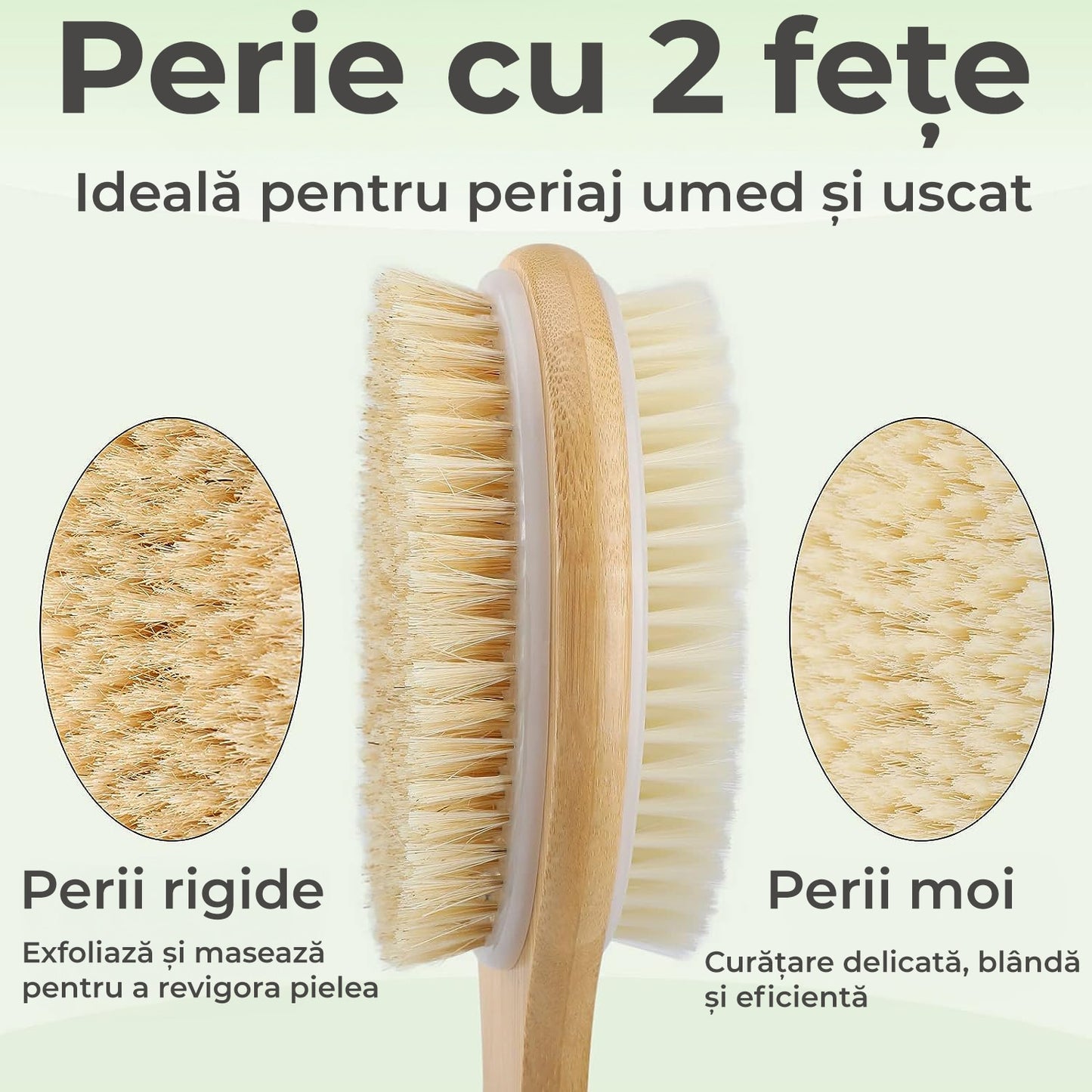 Perie de baie din lemn 0744343585601