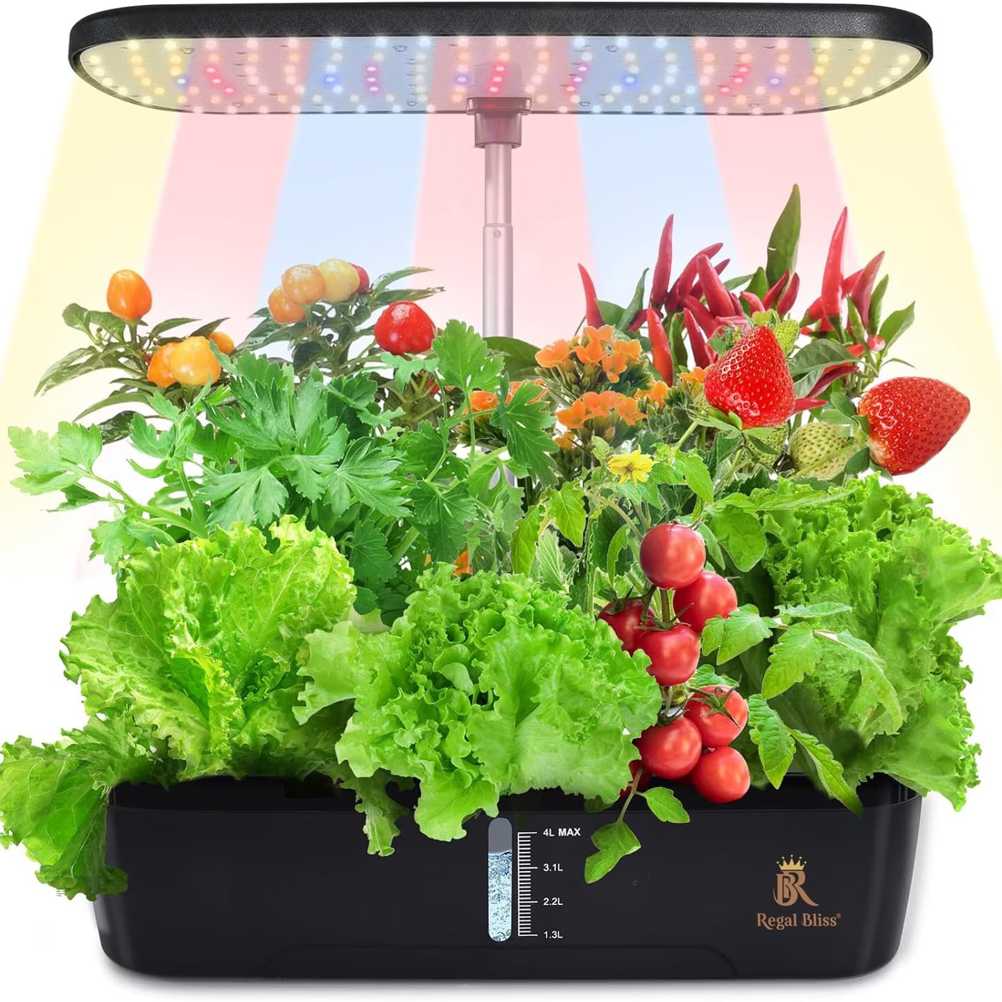 Ghiveci de Plante Hidroponic