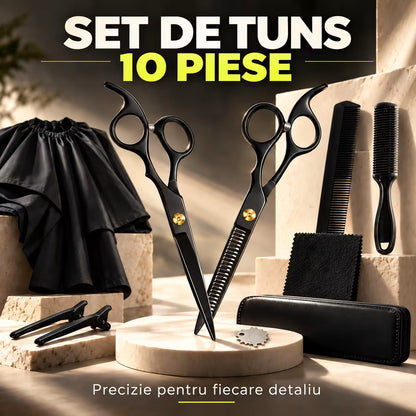 Foarfece profesionale de tuns si filat 10 Piese