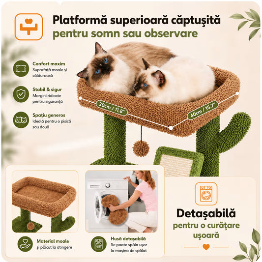 Ansamblu de joaca pentru pisici - Cactus