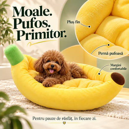 Culcus banana pentru caini si pisici