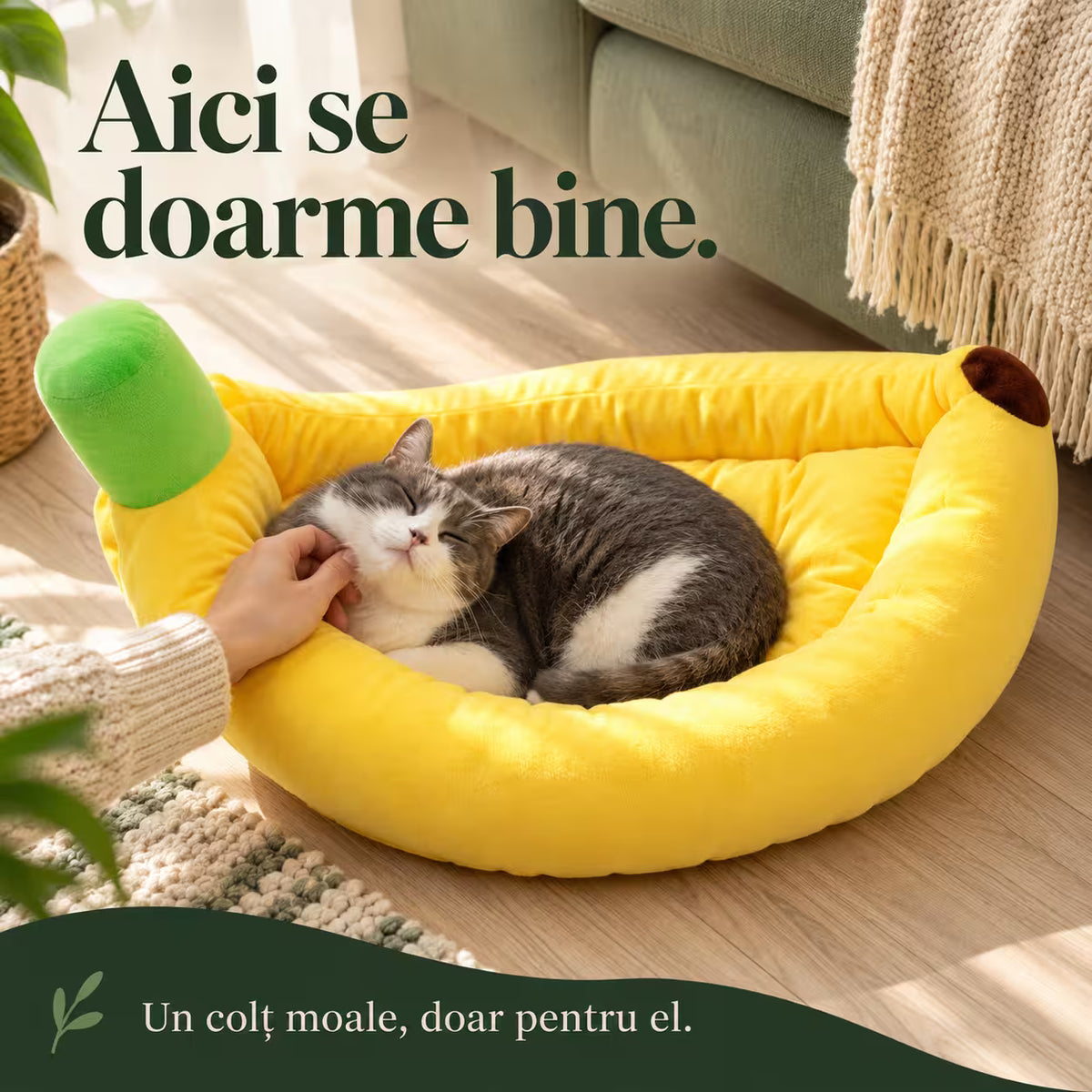 Culcus banana pentru caini si pisici