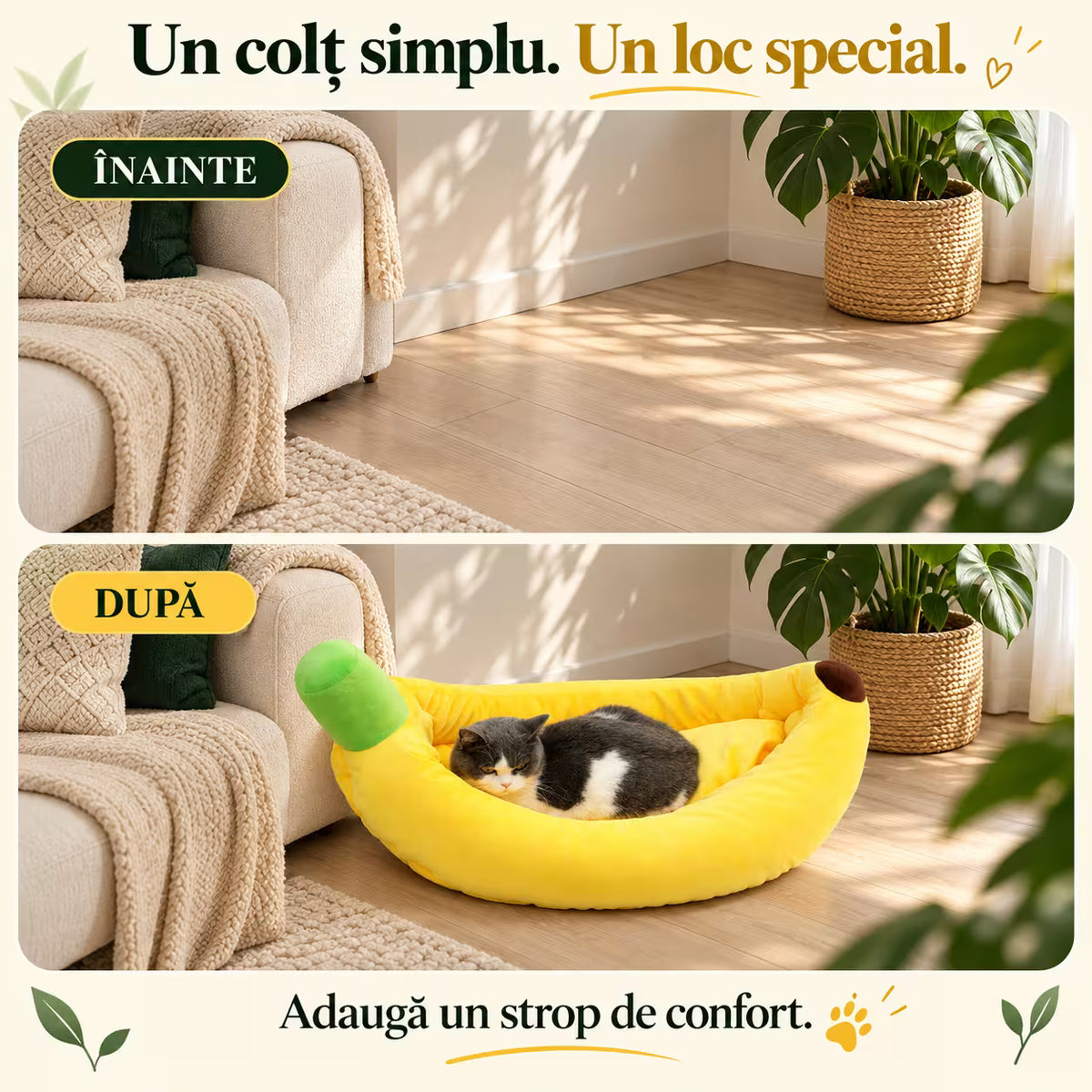 Culcus banana pentru caini si pisici