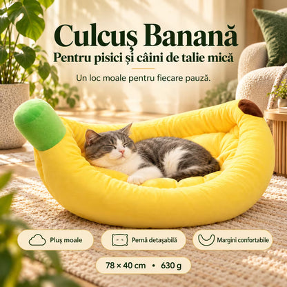 Culcus banana pentru caini si pisici