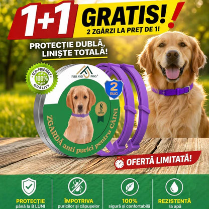 Zgarda reglabila si respirabila anti purici pentru pisici