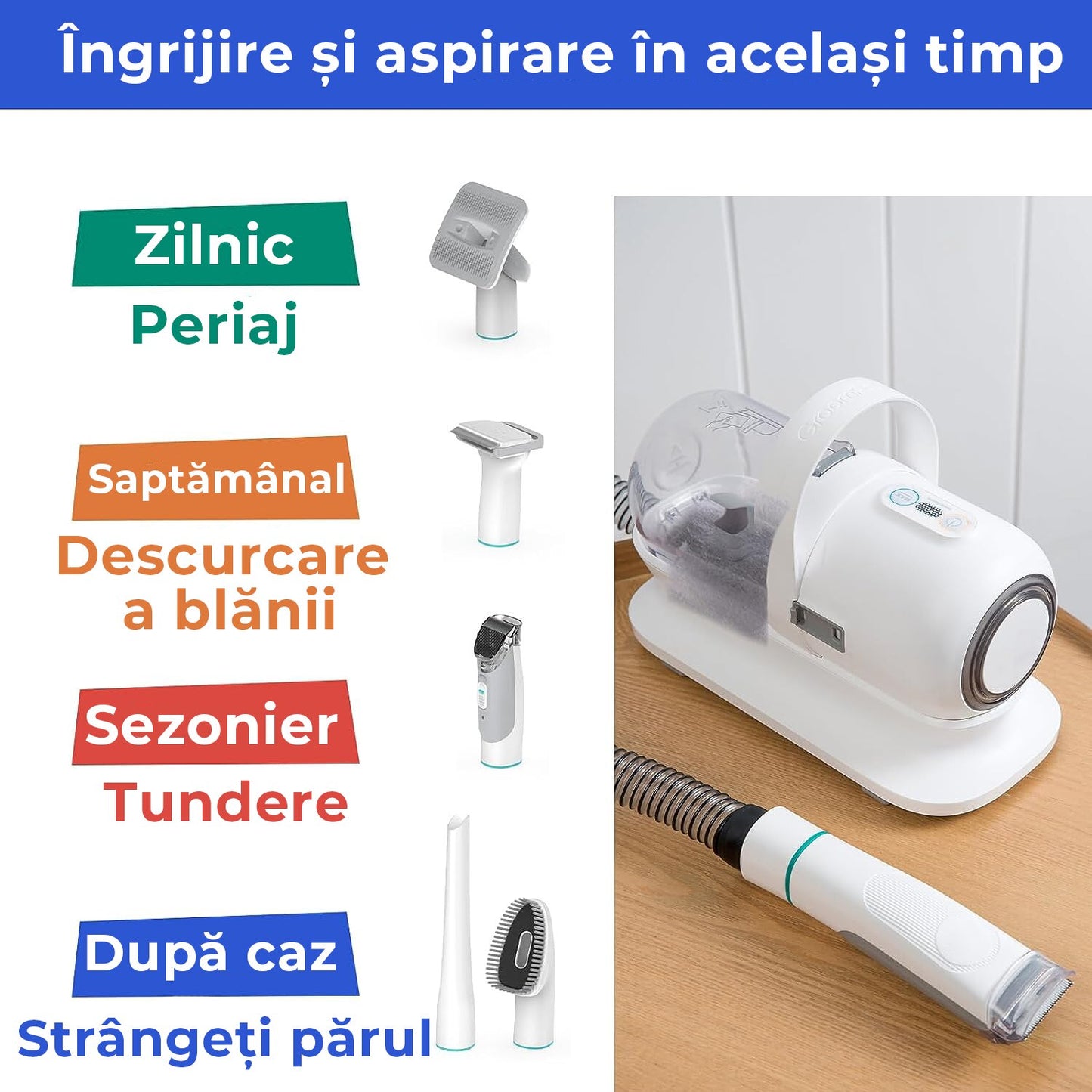 Masina De Tuns Animale - Set 5 in 1
