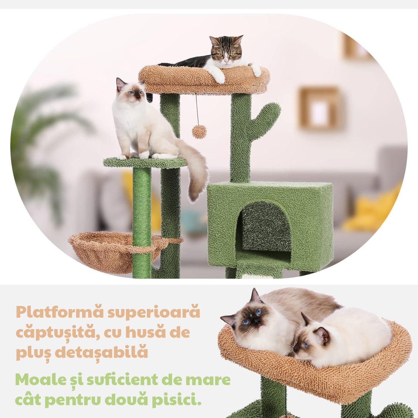 Ansamblu de joaca pentru pisici - Cactus (TT)