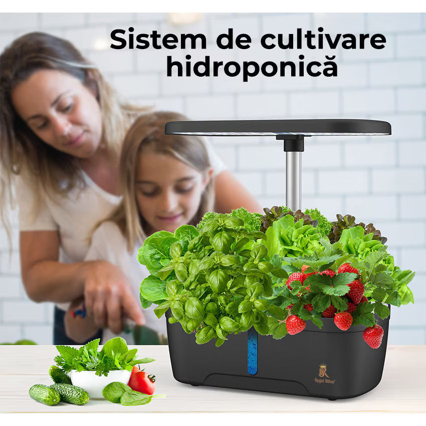 Ghiveci de Plante Hidroponic