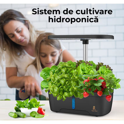 Ghiveci de Plante Hidroponic