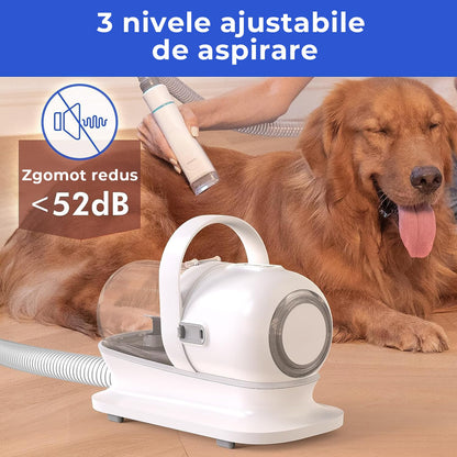 Masina De Tuns Animale - Set 5 in 1