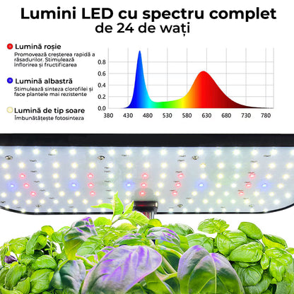 Ghiveci de Plante Hidroponic