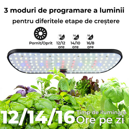 Ghiveci de Plante Hidroponic