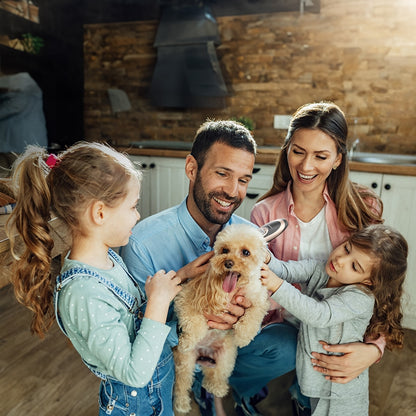 Masina profesionala de tuns animale 0744343584222