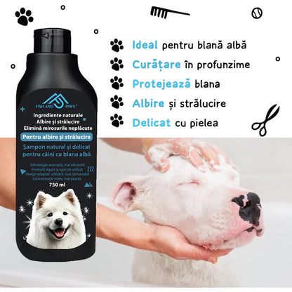 Sampon pentru caini cu blana alba, efect de albire si stralucire