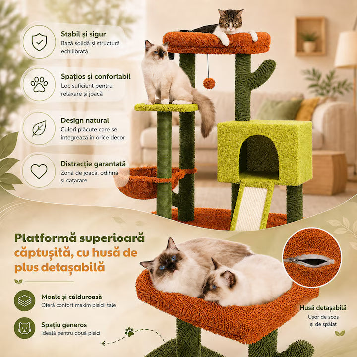 Ansamblu de joaca pentru pisici - Cactus
