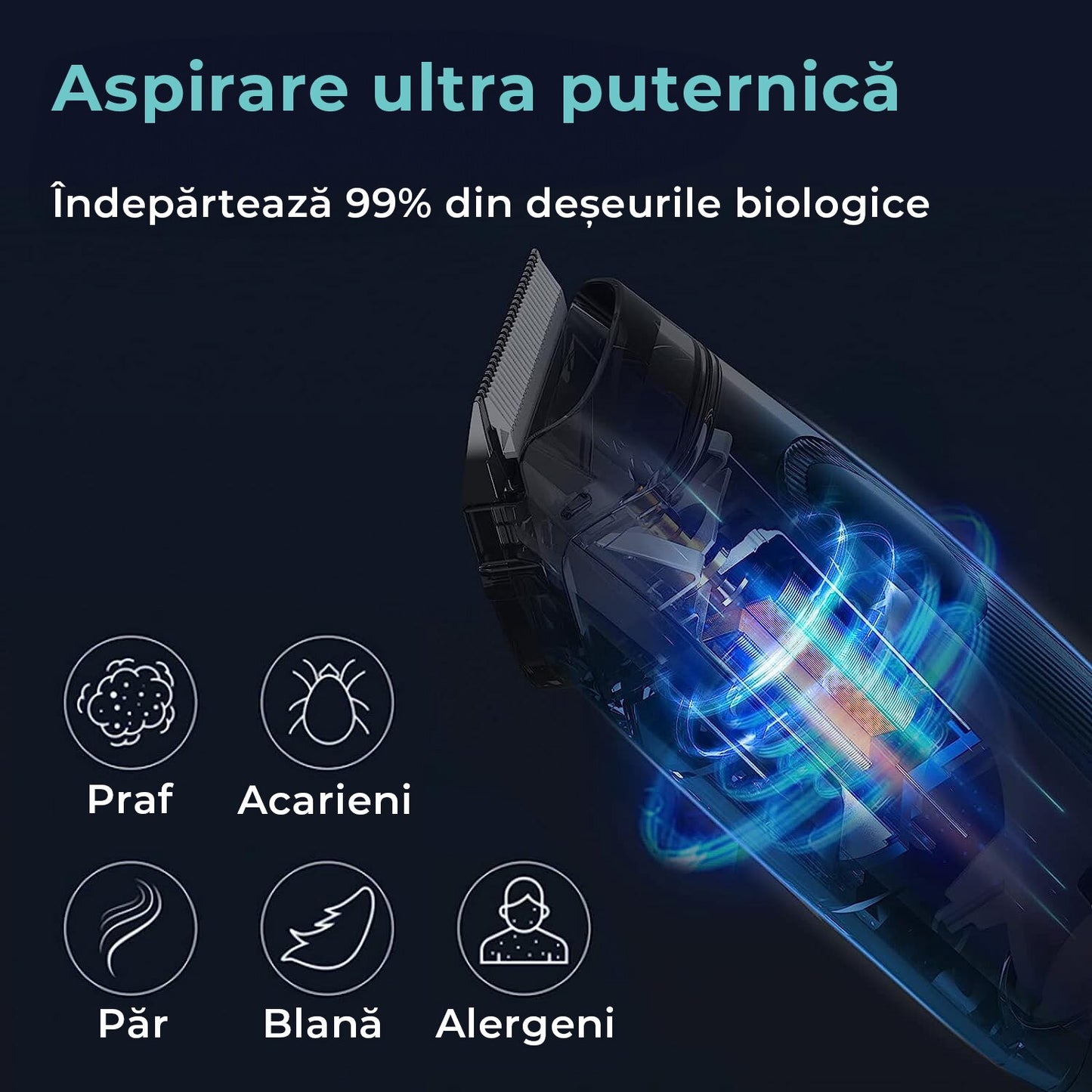 Masina De Tuns Animale - Set 5 in 1