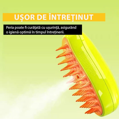 Perie cu aburi (TT) 0744343586240