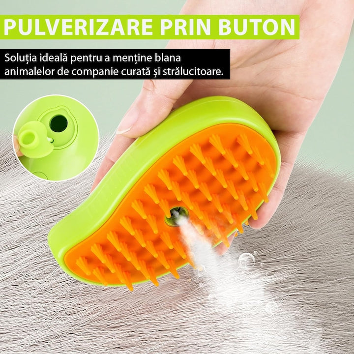 Perie cu aburi (TT) 0744343586240