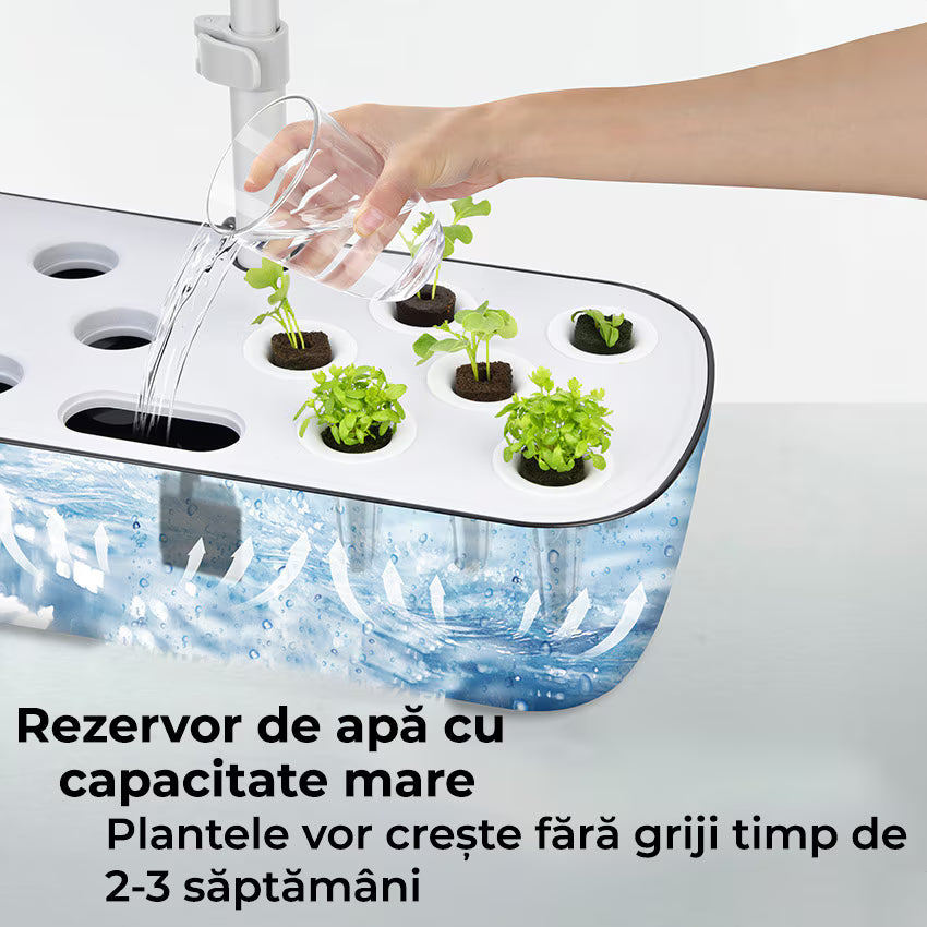 Ghiveci de Plante Hidroponic