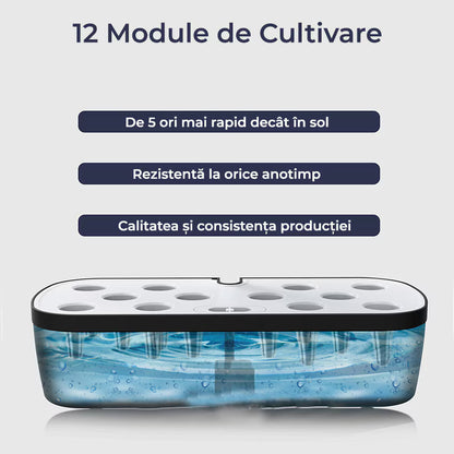 Ghiveci de Plante Hidroponic