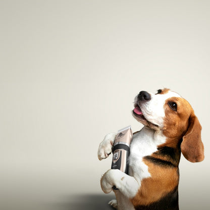 Masina profesionala de tuns animale 0744343584222