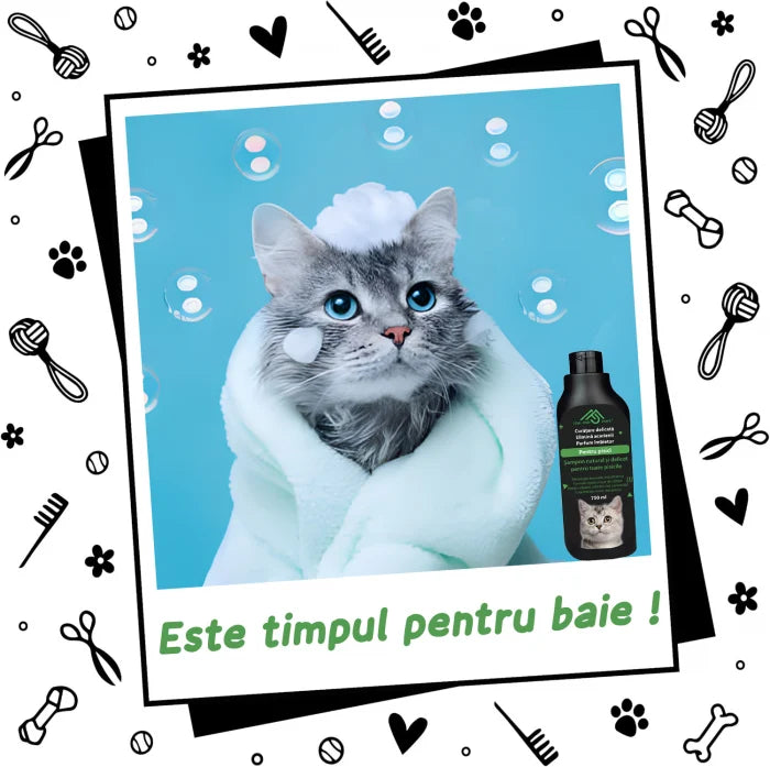 Sampon pentru pisici pentru o blana pufoasa si sanatoasa