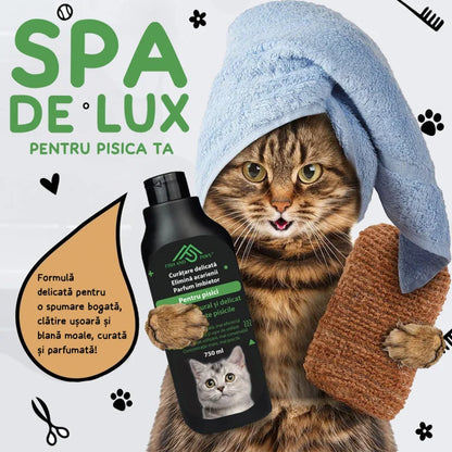 Sampon pentru pisici pentru o blana pufoasa si sanatoasa